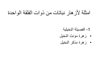 sec 10.pdf